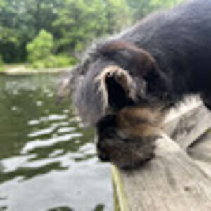 Meet your Posher, Cassandra